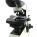 میکروسکوپ دوچشمی المپیوس ژاپن CX22