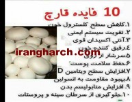 فروش تجهیزات سالنهای پرورش قارچ دکمه ای با گارانتی