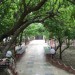 باغ ویلا 1100 متری در لم آباد ملارد کد 558