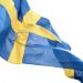 ola-ericson-the-swedish-flag-359
