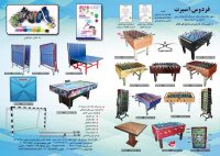 فوتبالدستی باشگاهی فردوس اسپرت