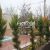 باغ ویلا 850 متری در غرب استان تهران کد654 - تصویر2