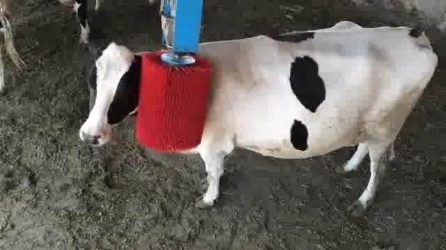 212956502-7376509392