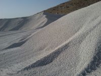 نخودی سفید تبریز