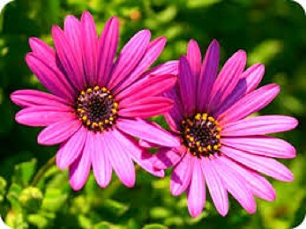 images (8)