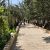 750 متر باغ ویلا در شهریار منطقه کردزار - تصویر2