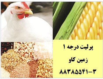 M711---پرلیت بر خوراک طیور چه تاثیری دارد؟