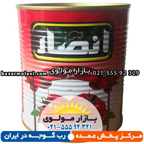 Tomato-paste-800-g-Ansar