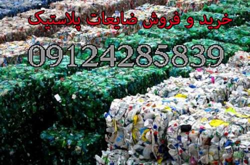 2171228_sgaELA_r_m