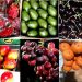 صادرات  میوه جات