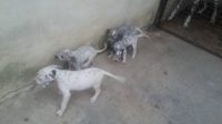IMG_20190619_154409_626