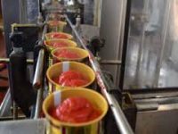 ماشین آلات تولید رب گوجه و سس کجاپ