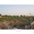 1000 متر باغچه در دهکده باغدشت بکه شهریار - تصویر2
