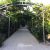باغ ویلا 1800 متری در ملارد - تصویر2