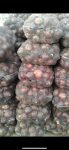 IMG-20190818-WA0016