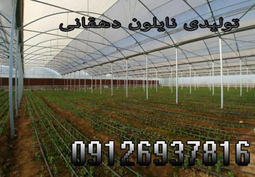 2231356_a4ayQ9_r_m