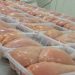 فروش گوشت مرغ تازه و منجمد – فروشگاه مرغ