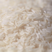 خرید مستقیم برنج ایرانی از کشاورز