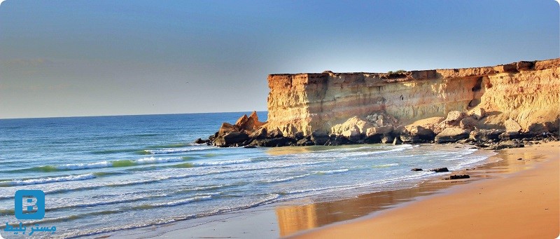 تور گردشگری