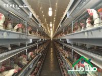 فروش مرغداری 17 هکتاری در مهرچین