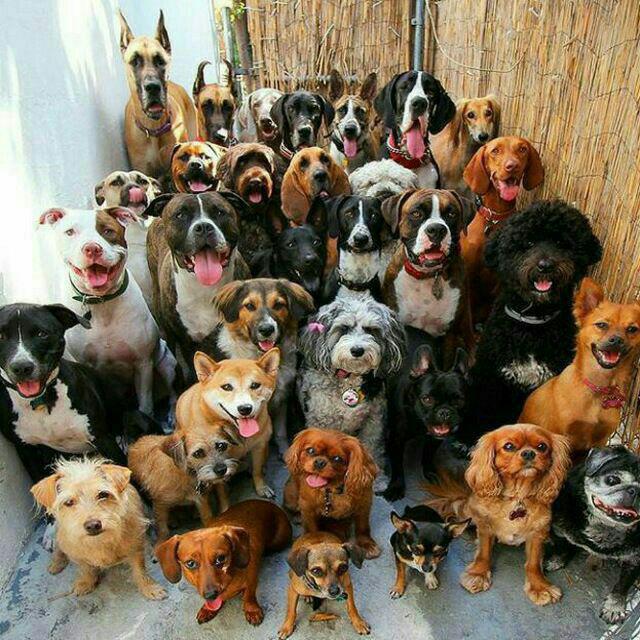 photo_2017-11-04_19-36-35