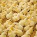 فروش جوجه مرغ یک روزه گوشتی جوجه محلی صنعتی و هلندی