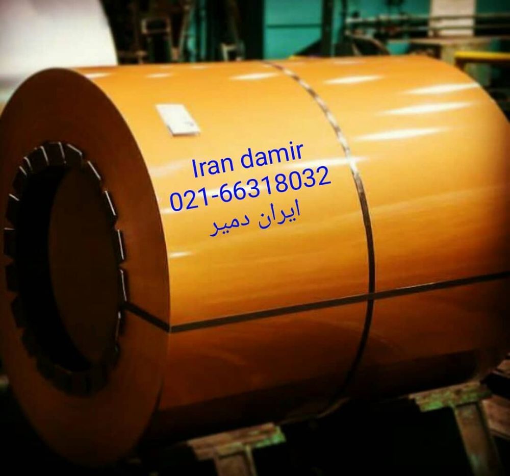 iran.damir_1550741102