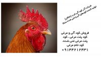 فروش کود مرغی خام و پلت شده