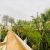 1450 متر باغ ویلا در شهریار - تصویر1