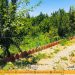 فروش باغ چهار دیواری 950 متری در کردزار شهریار