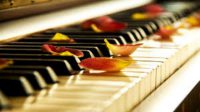 اموزش پیانو با نازلترین قیمت در سراسر ایران