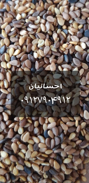 20190519_140748