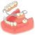 دندان مصنوعی  دست دندان - تصویر1
