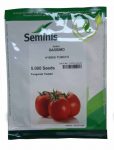 فروش ویژه بذر گوجه فرنگی سمینس ۸۳۲۰ /بریویو/باسیمو
