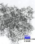 NANO_SiO2,20-30nm,SEM