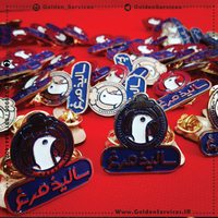 saliz-badj2 (Copy)