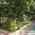 باغ ویلا 500 متری سند دار مناسب سکونت دائم در یبارک - تصویر2