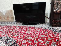 IMG-20201110-WA0049