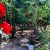 باغ ویلای 700 متری در خوشنام ملارد - تصویر1