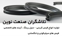 تولید و تامین انواع فیس کربنی ، سیل رینگ و آببندهای تخصصی