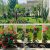 750 متر باغ ویلا در ملارد ویلای جنوبی - تصویر2