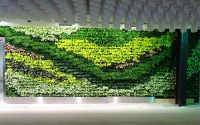 دیوار سبز green wall آکواگستر خلیج فارس