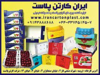 گروه صنعتی ایران کارتن پلاست