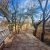 1700 متر باغ ویلای فاخر در قلب شهریار - تصویر2