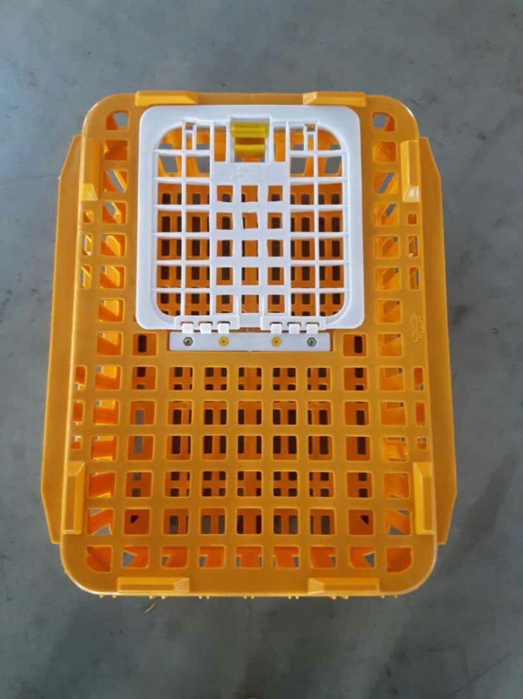 پرتقالی