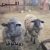 گوسفند زنده و گوشت ارگانیک - تصویر1