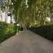 2300 متر باغ با جواز ساخت ویلای فاخر