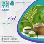 فروش گوارگام خوراکی