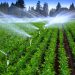 خرید 5 رتبه 5 آب و کشاورزی سهامی خاص