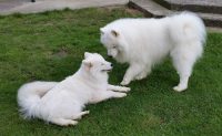 isa_kashi20170923_131814_web5